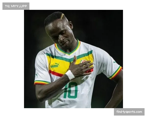 非洲球队注重防守反击 身体对抗强度成比赛关键因素