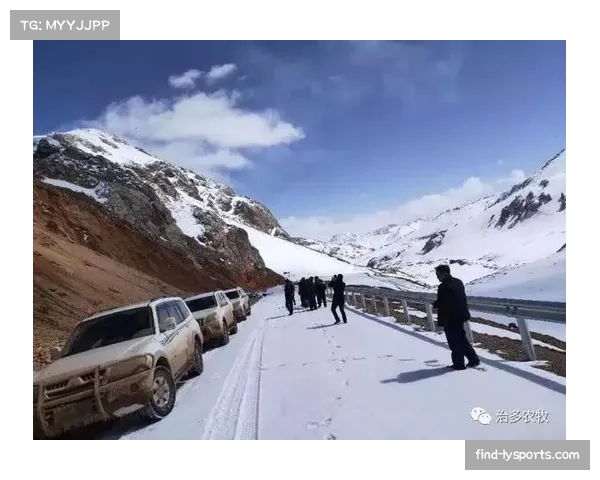 巴甲联赛球迷回归球场，上座率逐步恢复疫情前